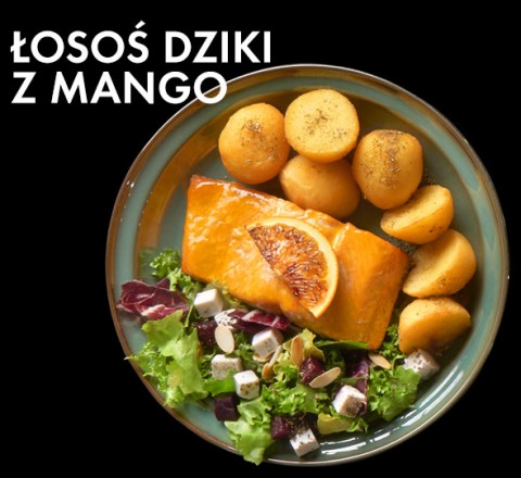 Łosoś dziki z mango - North Fish