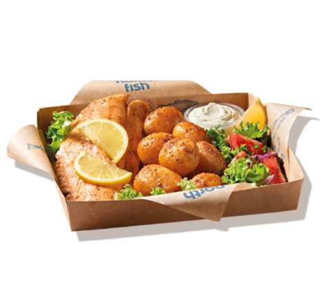 Grzybo Granie - North Fish